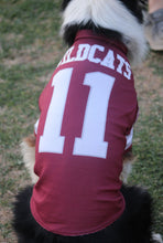 Load image into Gallery viewer, Custom Dog Jerseys
