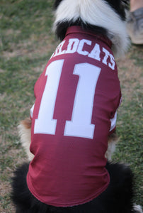 Custom Dog Jerseys