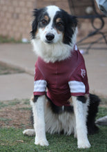 Load image into Gallery viewer, Custom Dog Jerseys
