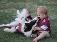 Load image into Gallery viewer, Custom Dog Jerseys
