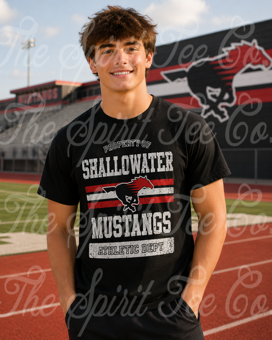 Property of Shallowater