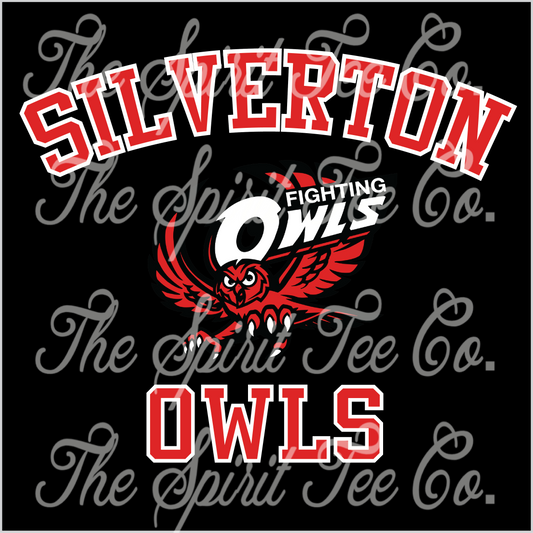 Custom Classic Team Pride Silverton