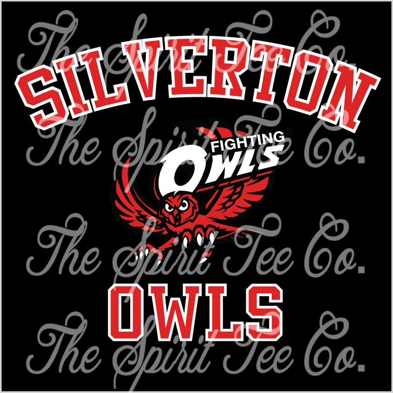 Custom Classic Team Pride Silverton